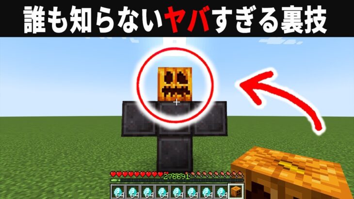 【海外検証】謎が多すぎるマインクラフト12選【ゆっくり実況】【マイクラ】