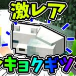 【ぽこくらシーズン 3】激レア！！北極ギツネを捕まえろ！ 【マインクラフト】マイクラ建築 ゆっくり実況プレイ