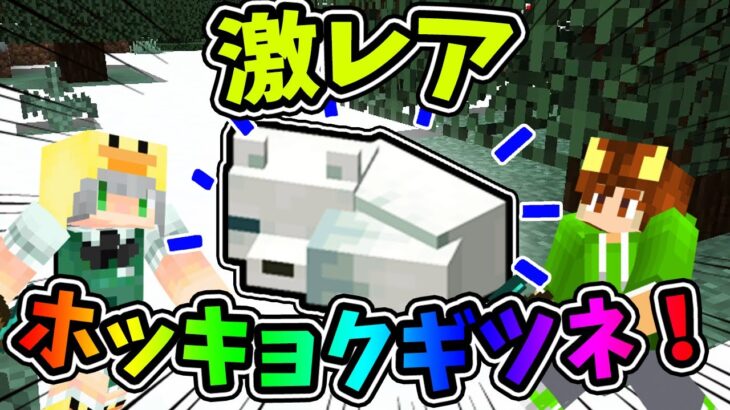 【ぽこくらシーズン 3】激レア！！北極ギツネを捕まえろ！ 【マインクラフト】マイクラ建築 ゆっくり実況プレイ