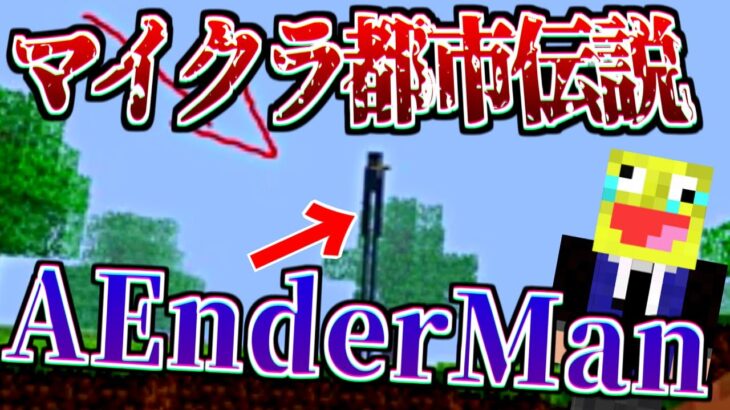 見つけると不幸になる!?マイクラ都市伝説の『AEnderMan145367』の儀式を行った結果!!-マインクラフト【Minecraft】【ヘロブライン】【都市伝説】