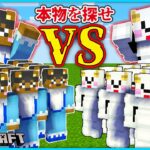 大量のニセモノの友達の中から本物を見つけ出せ！【マインクラフト・マイクラ】【サンクラ】｜知育アプリ・ゲーム実況｜★サンサンキッズGAMES★