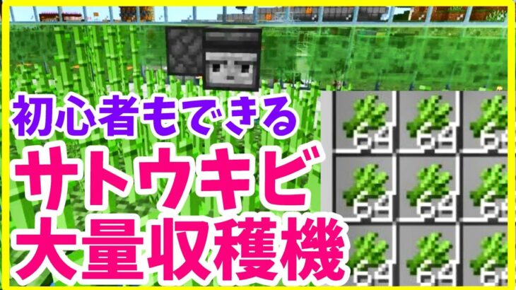 【マイクラJava版1.19】低コストで大量 サトウキビ自動収穫機作り方 まあクラ 【ゆっくり実況】