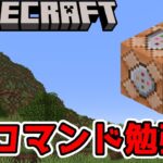 マップを作るためにもコマンドの勉強する【マイクラ/マインクラフト/Minecraft】