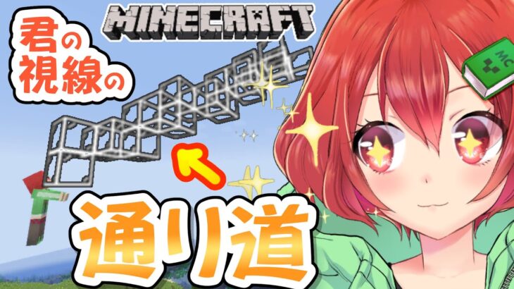 【Minecraft】どこ見てるのよ⁉ここ見てるのよ❣【コマンド】