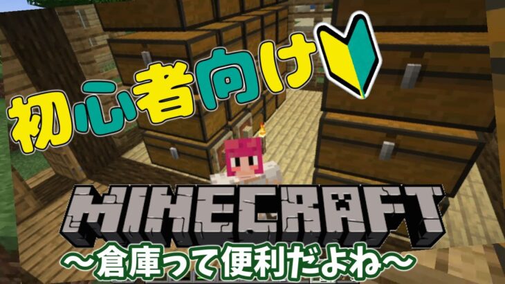 【初心者向け Minecraft Java Edition 1.19.4】家の隣に倉庫があると便利だけどついついいろいろなものをため込んでしまうね