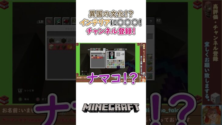 Minecraft　マインクラフト『異国の文化。家の中に○○○を置く村。』＃shorts