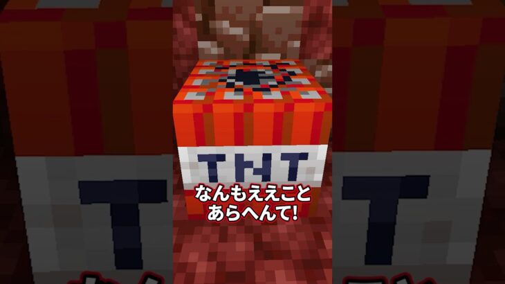 TNTの気持ち #shorts #マイクラ