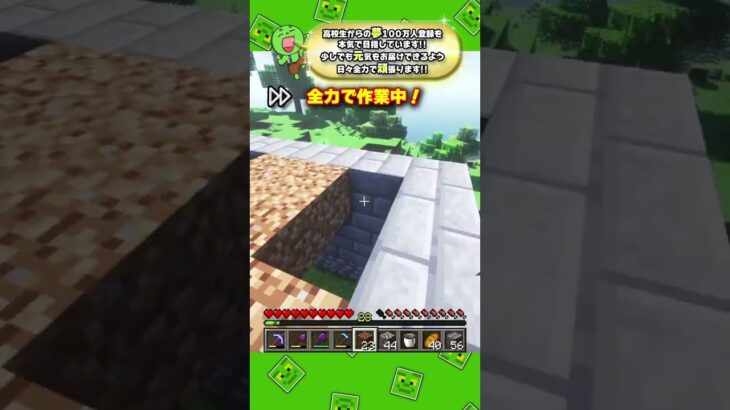 【マイクラ】TikTokでバズってた建築がすごすぎる！！！