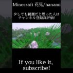 【マインクラフト】花見modにシェーダー付けたら綺麗すぎた!/Minecraft hanami【絶景】#shorts