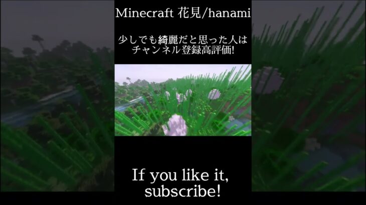 【マインクラフト】花見modにシェーダー付けたら綺麗すぎた!/Minecraft hanami【絶景】#shorts