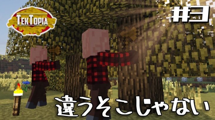 【マイクラ】テクトピア:~ゆっくり村作り~村人たちの村開拓【ゆっくり実況】part3