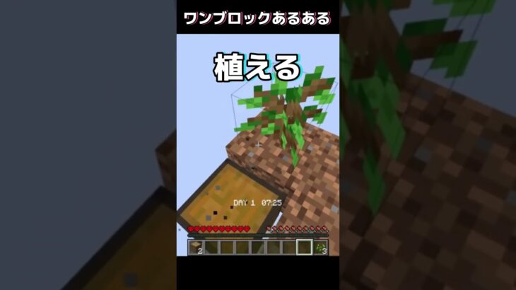 【マインクラフト】ワンブロック、驚愕の事態あるある！【１ブロックサバイバル】