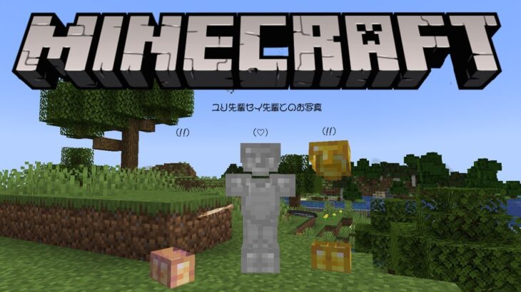 【マイクラ】壁計画にチェスト整理とやることは沢山です【狼森メイ / シュガリリ】