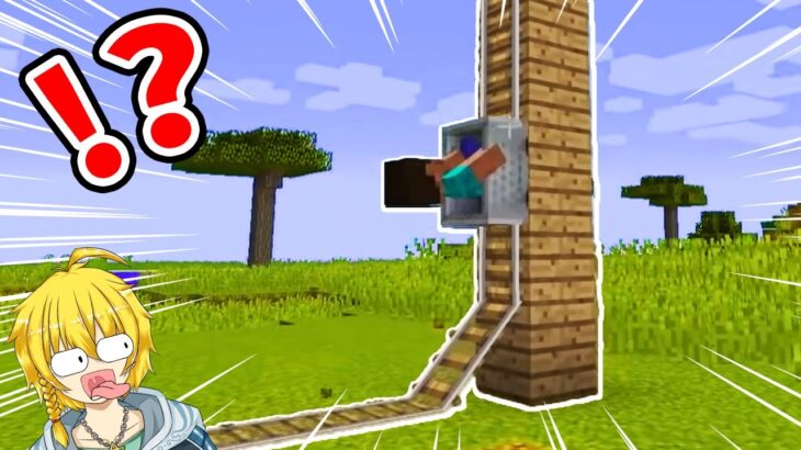 【マイクラ】何かがおかしいマインクラフト２１選【まいくら・マインクラフト】