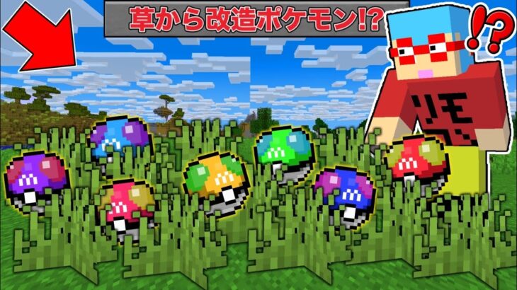 【マイクラ】草から出てきた『改造ポケモン』だけでサバイバルしたらヤバすぎた！？