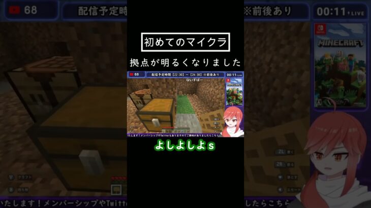 初めてのマイクラ【マインクラフト/切り抜き】