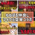 【マインクラフト】ねねぽる仲良しマイクラ突発コラボ【ホロライブ切り抜き】