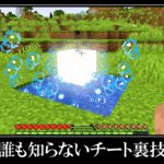 【衝撃】マイクラ上級者でも知らないチート裏技＆小ネタ１１選