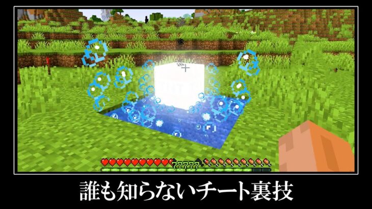 【衝撃】マイクラ上級者でも知らないチート裏技＆小ネタ１１選