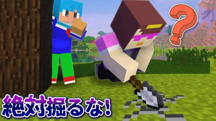 ママに「絶対に掘って見るなよ！」って言ったらちゃんと約束守るの？【マイクラ / まいくら / マインクラフト】