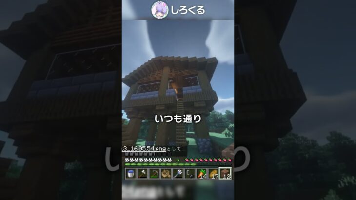 超簡単に綺麗なマイクラのスクショを撮る方法！！【マイクラ豆知識 解説 裏技】