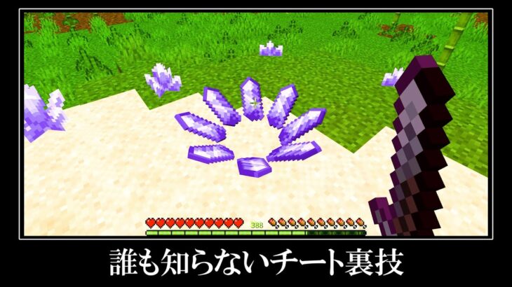 【衝撃】絶対にやってはいけない統合版の裏技＆小ネタ１１選