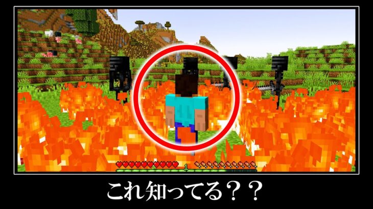 【衝撃】マイクラ上級者でも知らないバグ裏技＆小ネタ９選