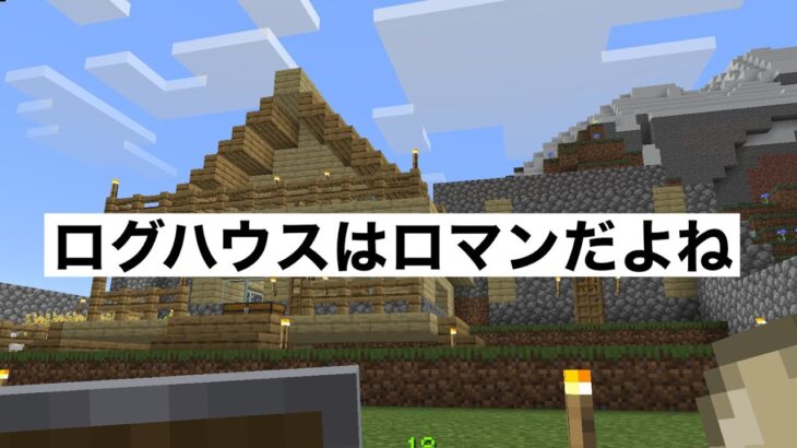 【マインクラフト】ダイヤを先延ばしにして家と倉庫に集中してました