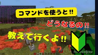 マインクラフトのコマンド意味