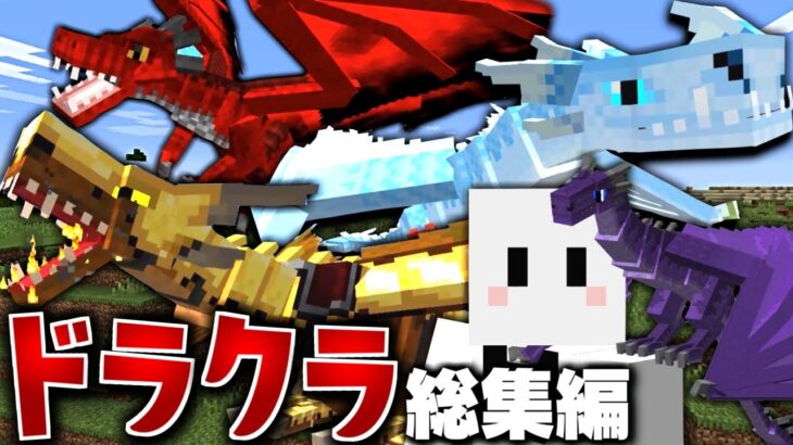 【マインクラフト】ドラゴンだらけの世界で全てのドラゴンを飼いならす – 総集編・一気見【マイクラ】