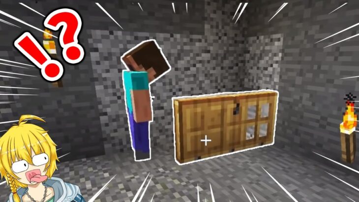 【マイクラ】頭が爆発しそうになる何かがおかしいマインクラフト【まいくら・マインクラフト】