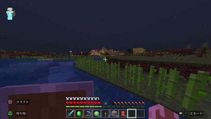 マイクラ