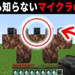 未だ解明できないマイクラの謎【ゆっくり解説】