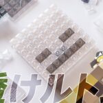 【自作キーボード】透けすけスケルトンなキーボードを作りたい！！マイクラ自作キーボード スケルトン編 ver1.0