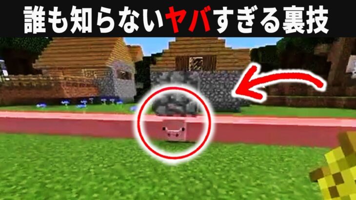 【海外検証】謎が多すぎるマインクラフト11選【ゆっくり実況】【マイクラ】