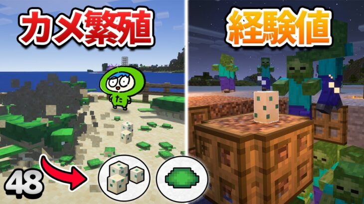 【48】ウミガメの繁殖のやり方とカメの卵を使った経験値トラップ【初心者向けのマインクラフト】