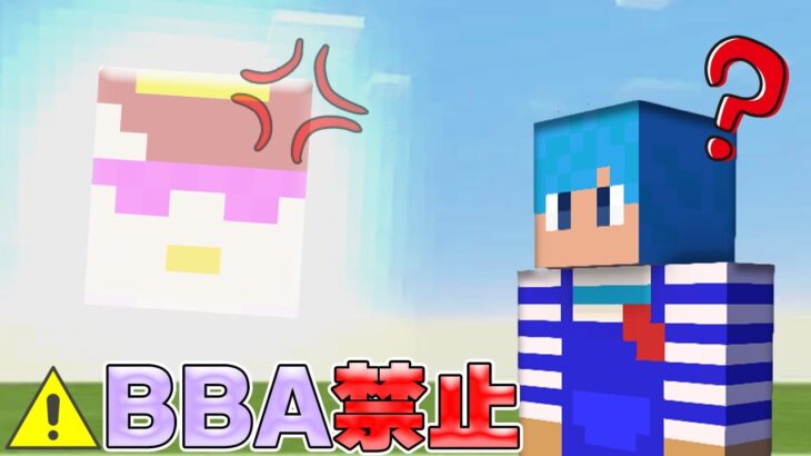 あかさか、そろそろBBAって呼ぶのやめてくれないか。【マイクラ / まいくら / マインクラフト】