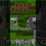 【マインクラフト】ボスラッシュしたらまさかの…【マイクラドラクエMOD実況】