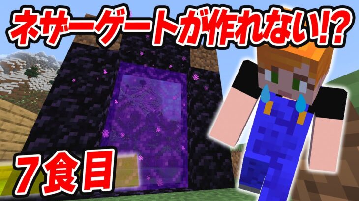 【マイクラ】マインクラフターならネザーゲートぐらい作れるよね…？【農業MOD】【めしクラ7食目】