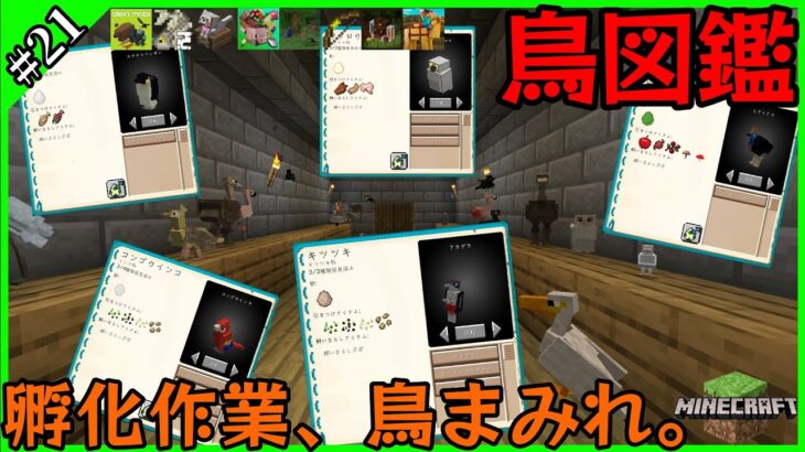 【マイクラMOD】Chapter.21「鳥さんを仕分ける。」【ガンクラ】