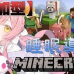 【初見参加〇】参加型マイクラサーバー～新開地を求めて！～【Mincraft】＃6