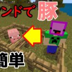 【Minecraft】フレンドを豚にする超簡単コマンド　＃マイクラ＃コマンド＃豚