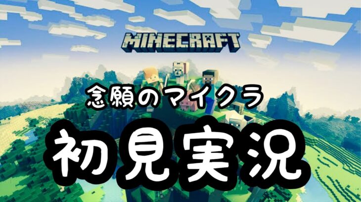 【マイクラ配信】はじめてのMinecraft vol.2【成長編】