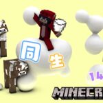 【Minecraft】マイクラ共同生活・14日目　共有のビルを建てていくよ！！　#シャルドラ【島村シャルロット / ななしいんく】