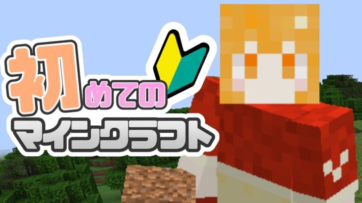 【Minecraft】建築回！豪華なおうち、つーくろ🏠【茶々ひなた/Vtuber】