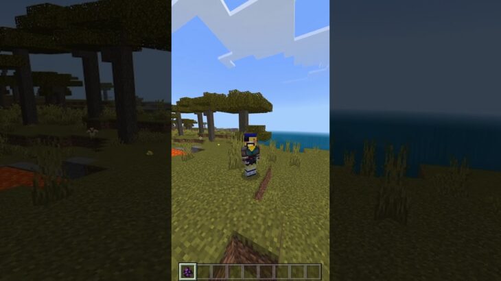 【マイクラ】マイクラコマンド！！！！#Shorts　#minecraft  #マインクラフト  #マイクラ統合版#funnyvideo  #funnytiktok #mostfunny