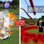 覇気 VS 悪魔の実 どっちが強いの？ ワンピース MOD【まいくら】【マインクラフト】