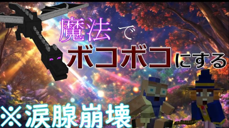 【minecraft】魔法が使える世界でエンドラ討伐したら涙の展開？！