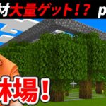 【マイクラ】資材不足解消へ！はじめての植林場を作る！【リトカ名人のマインクラフト実況part11】【リトクラ】