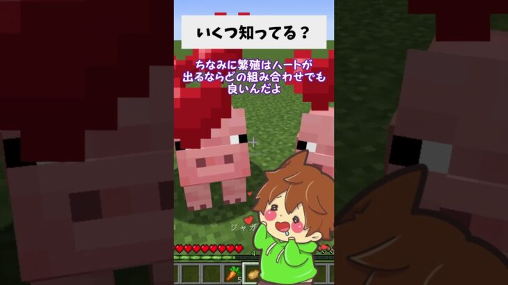 みんな知ってる？ブタの生態！ #shorts #マイクラ動物 #マイクラ#マイクラあるある #検証